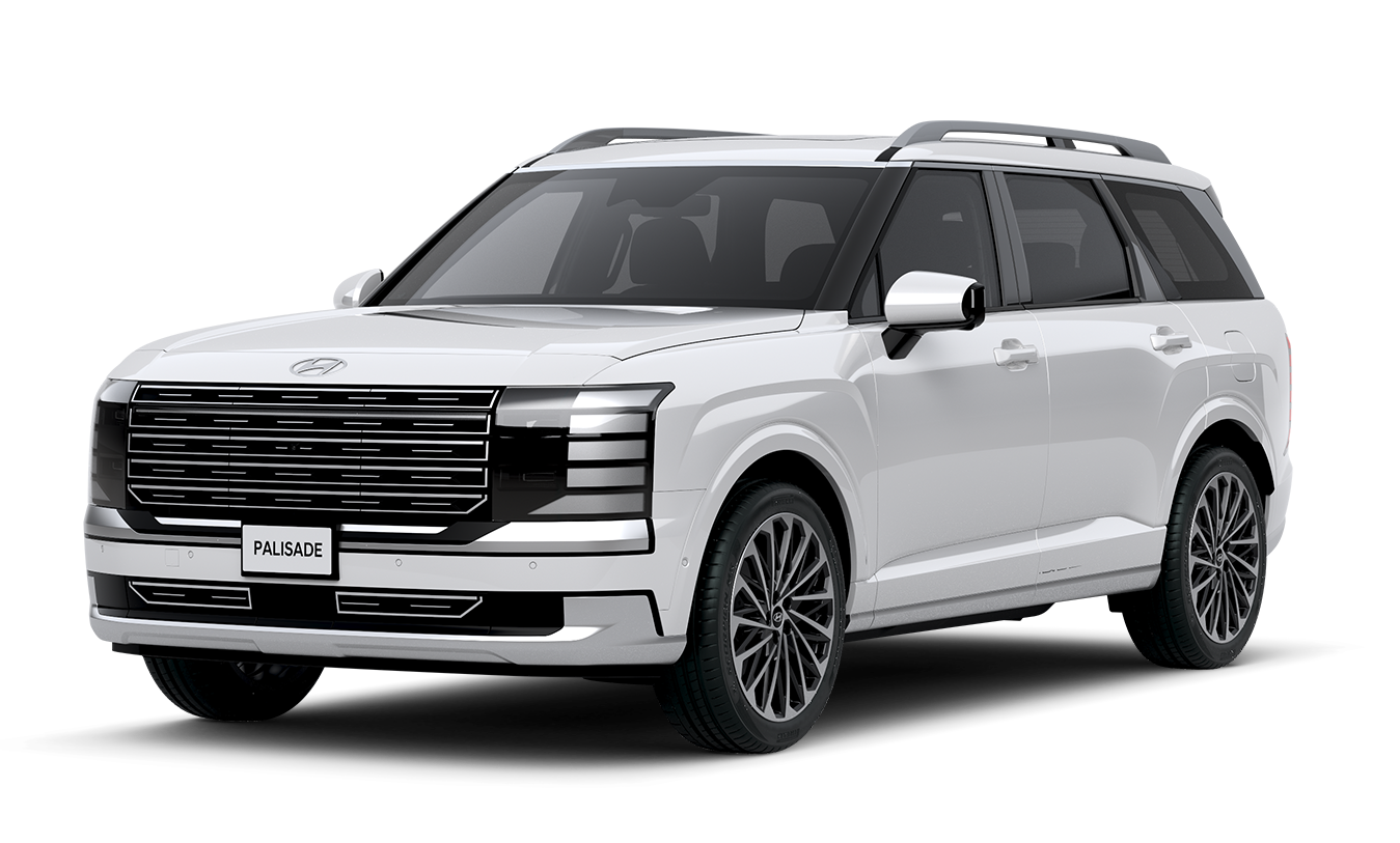 PALISADE LX3