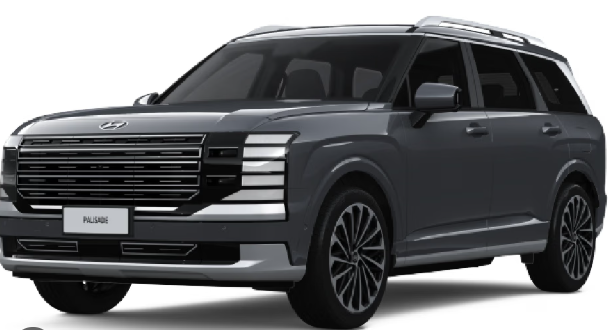 PALISADE LX3