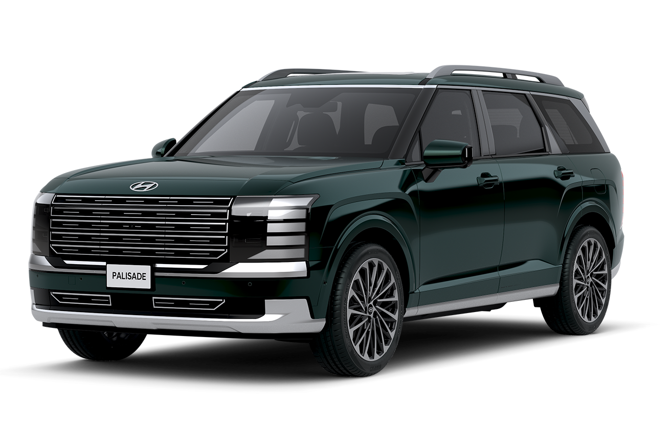 PALISADE LX3